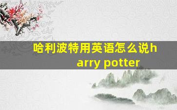 哈利波特用英语怎么说harry potter